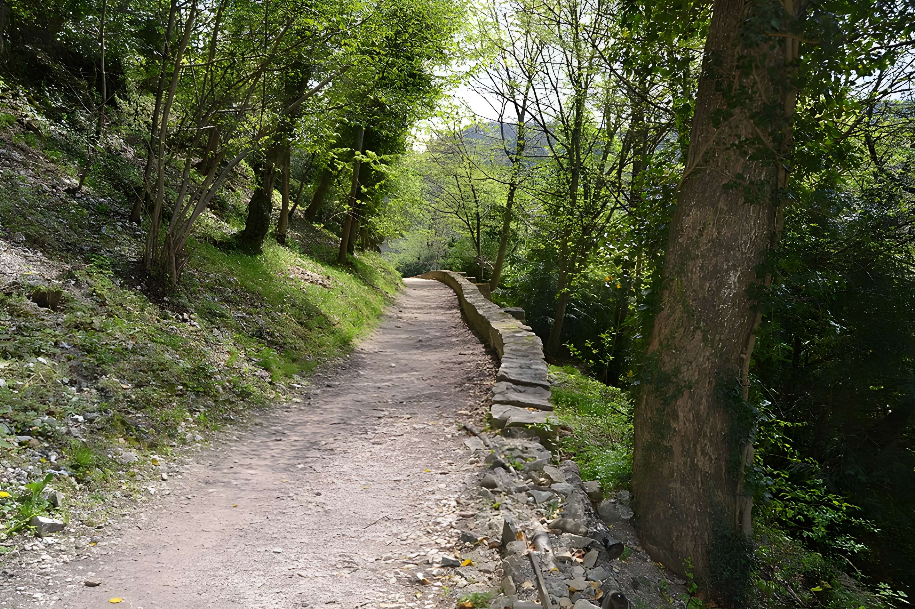 Château de Ferrette