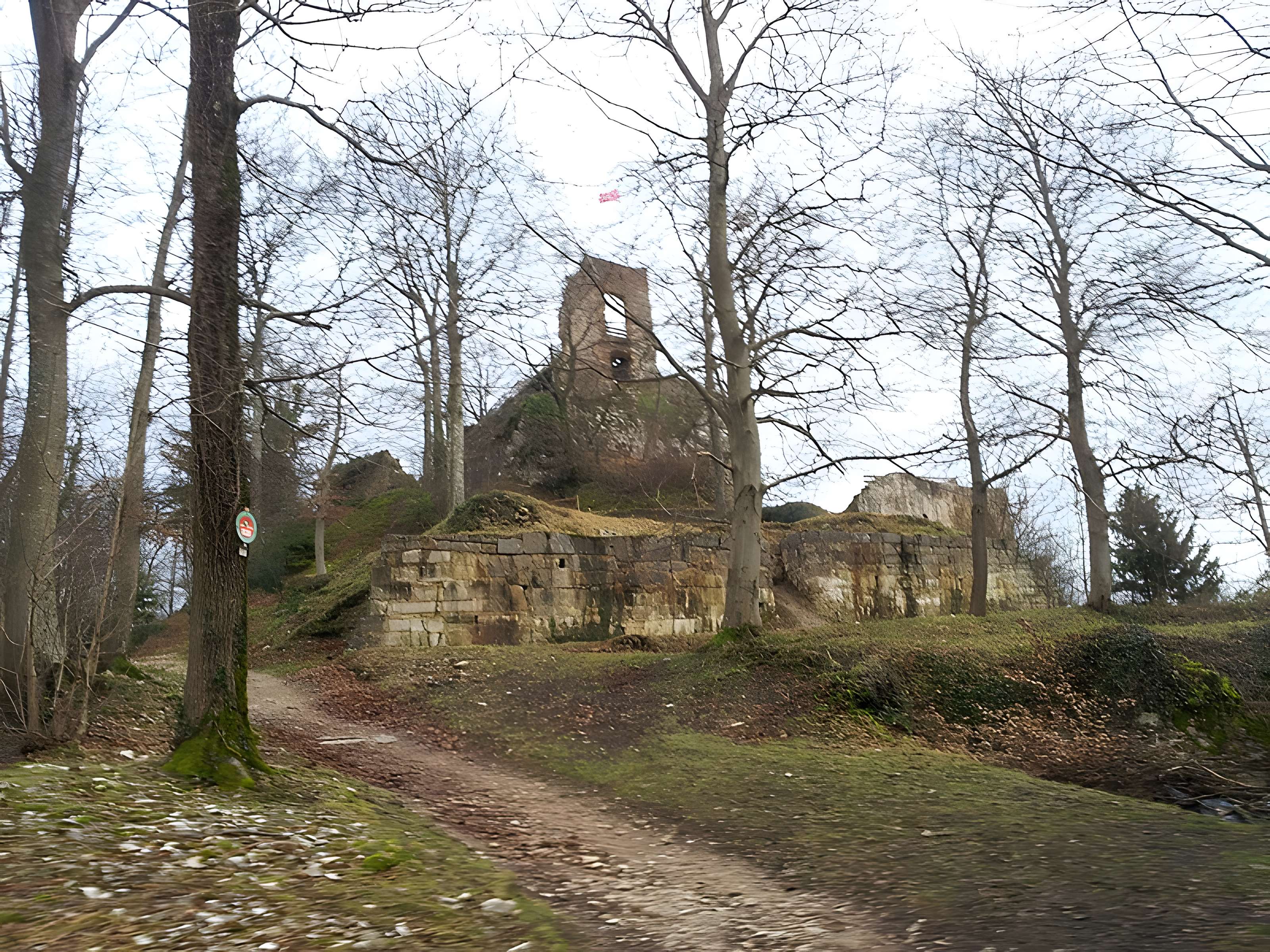 Château de Ferrette