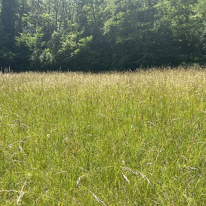 Photo de Pierre à bassins de Bagneux à Parves