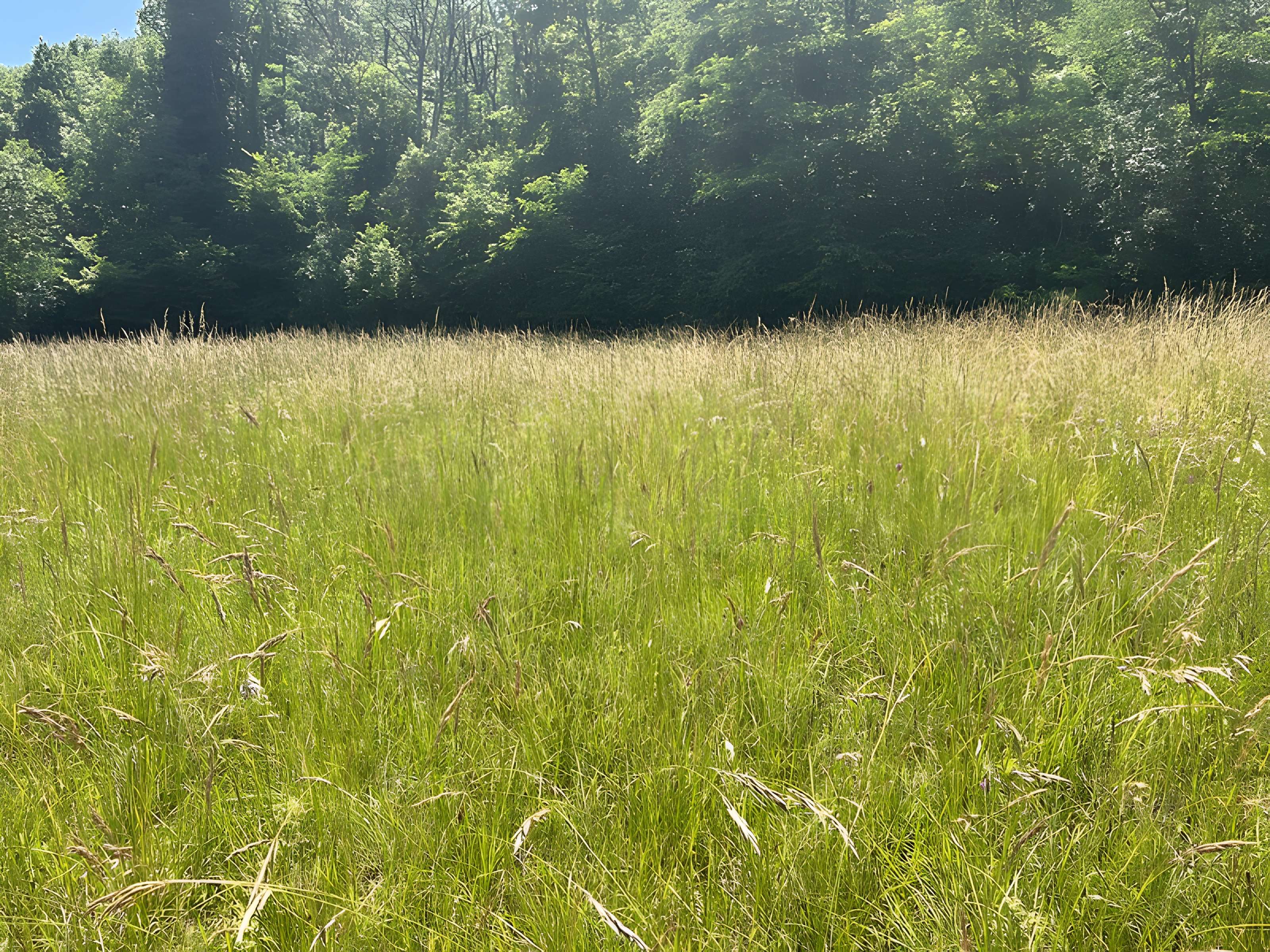 Pierre à bassins de Bagneux à Parves