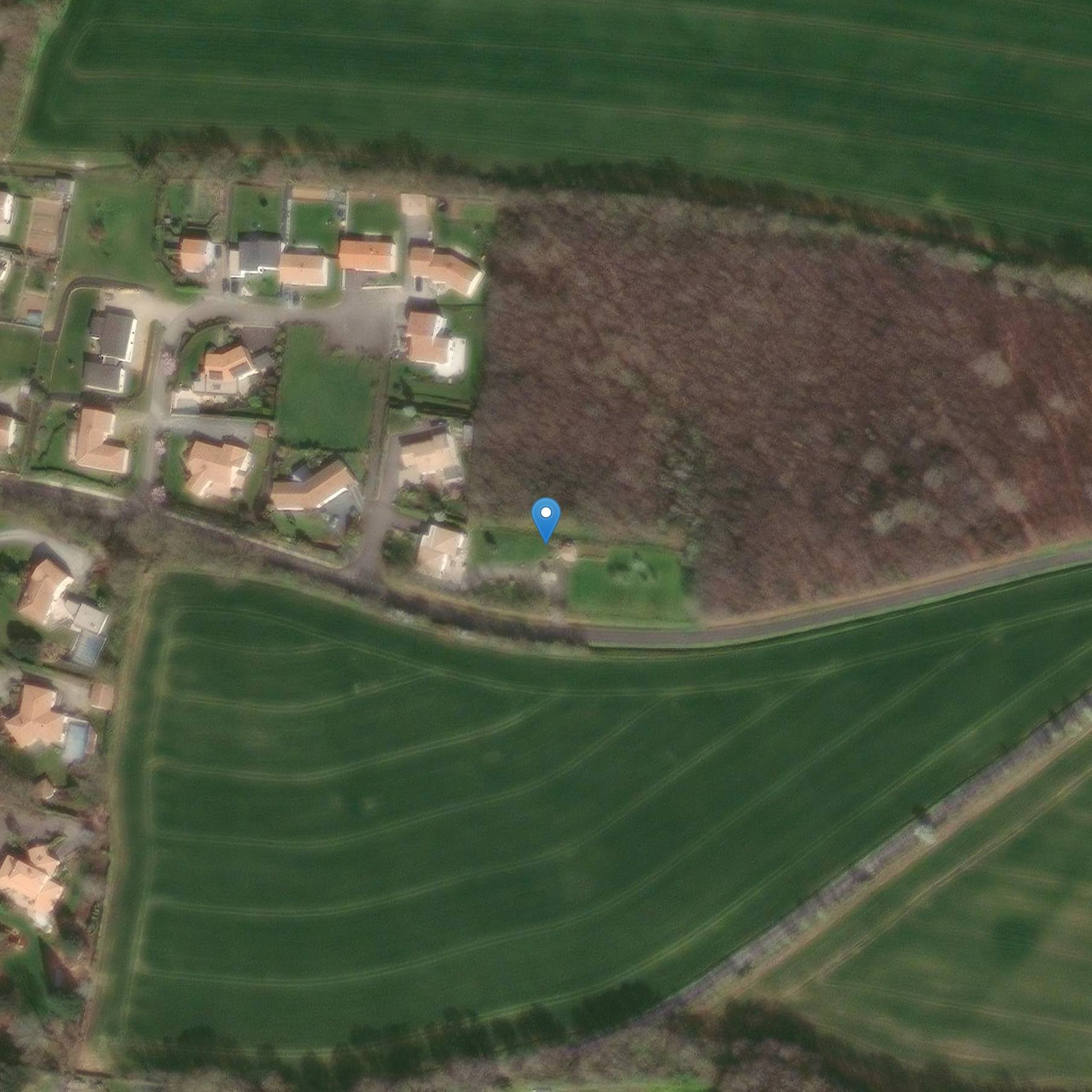 Photo de Pierre à cupules des Girardières à Cheffois