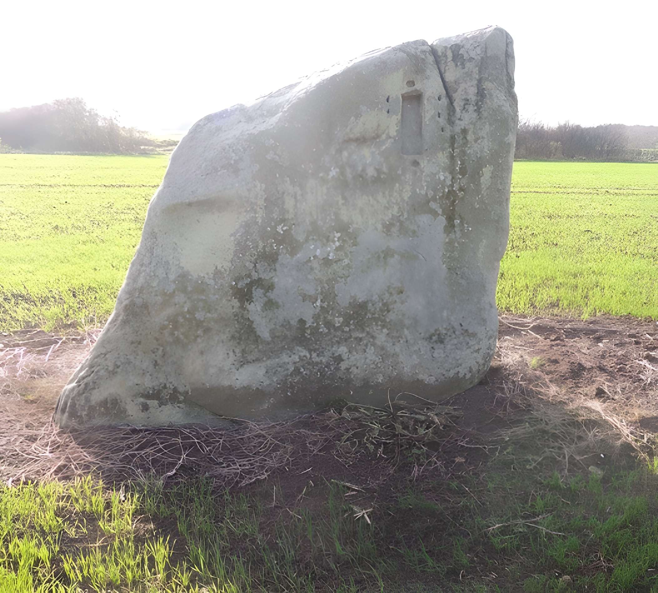 Pierre Couvée de Courtomer 