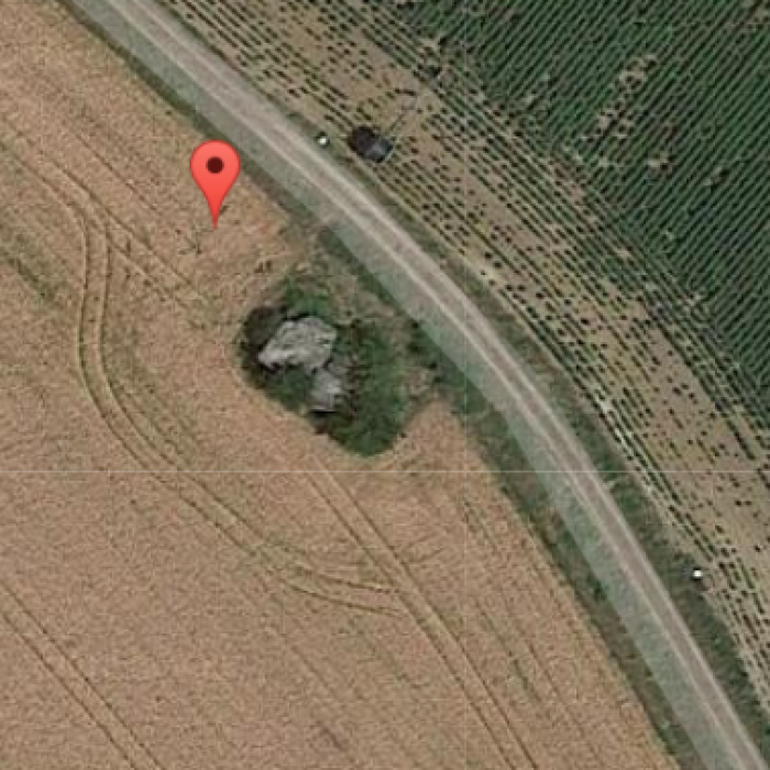 Photo de Dolmen dit Dolmen de la Forêt