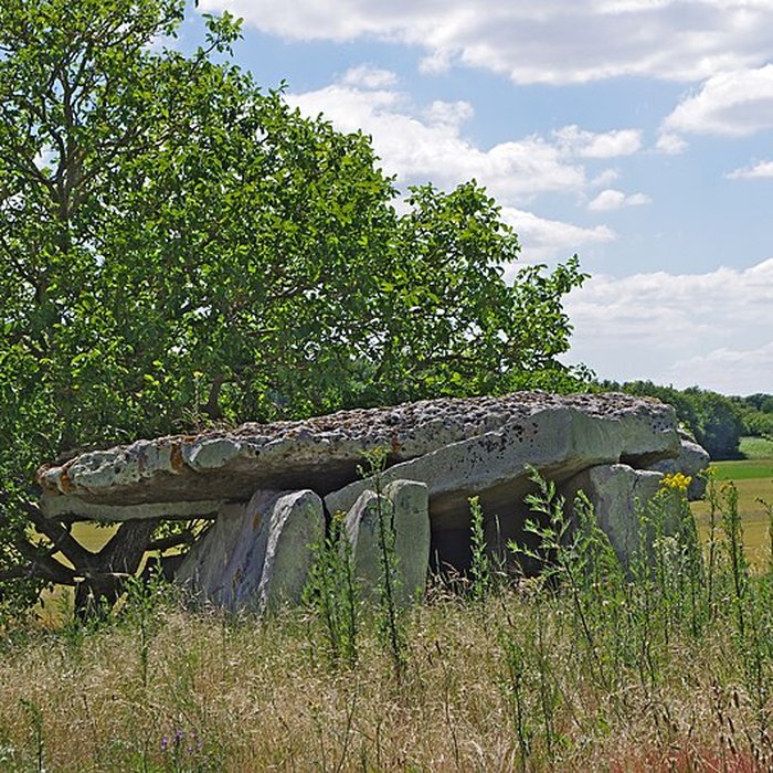 Photo de Dolmen dit Dolmen de la Forêt