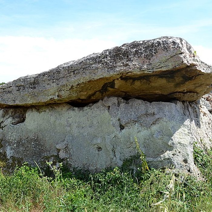 Photo de Dolmen dit Dolmen de la Forêt