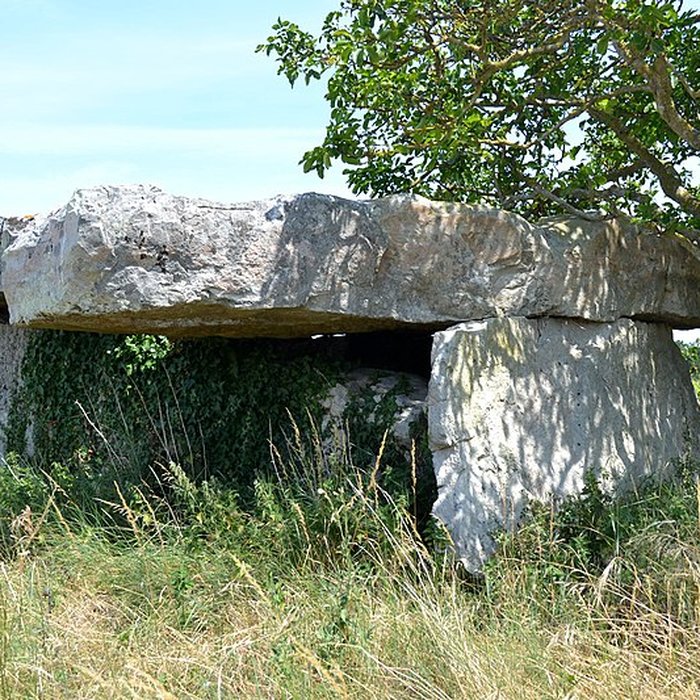 Photo de Dolmen dit Dolmen de la Forêt