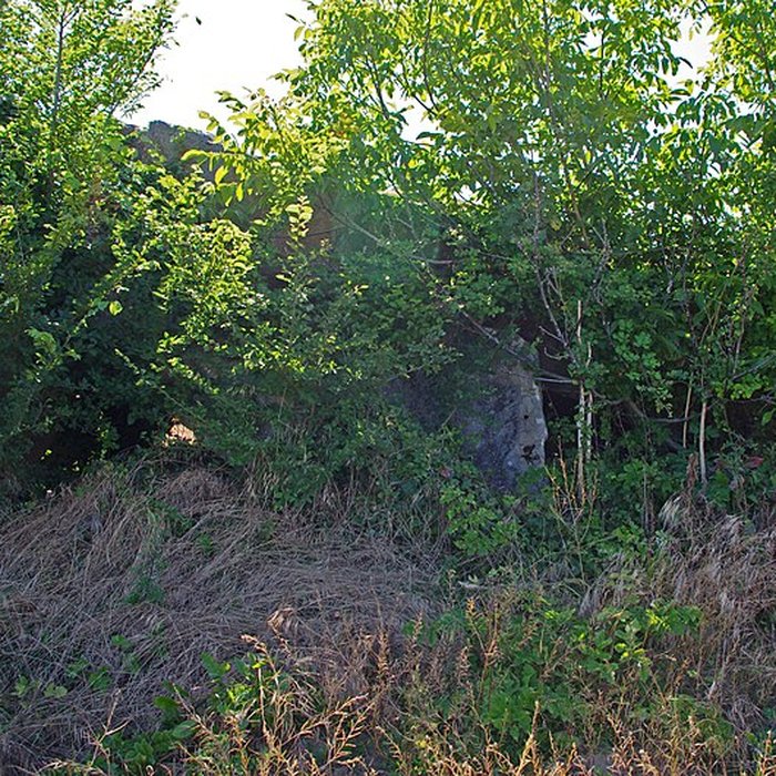 Photo de Dolmen dit Dolmen de la Forêt
