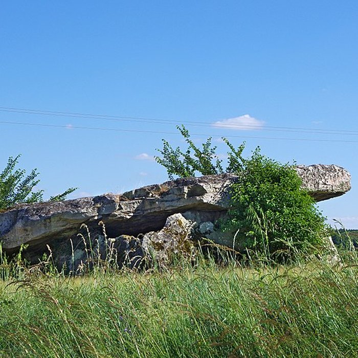 Photo de Dolmen dit Dolmen de la Forêt
