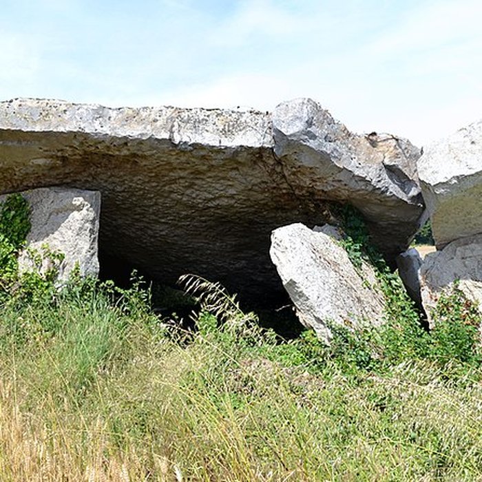 Photo de Dolmen dit Dolmen de la Forêt