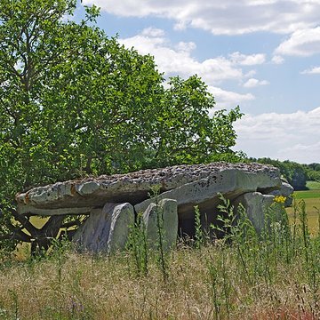 Dolmen dit Dolmen de la Forêt