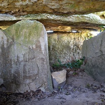 Dolmen dit Dolmen de la Forêt