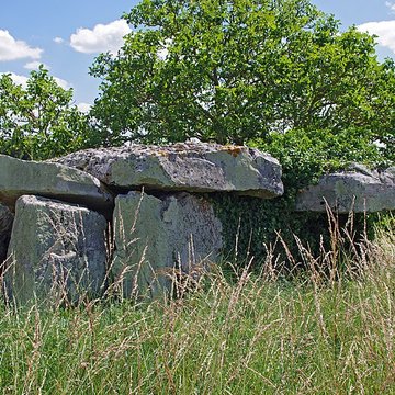 Dolmen dit Dolmen de la Forêt