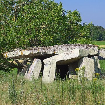 Dolmen dit Dolmen de la Forêt