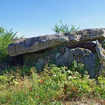 Dolmen dit Dolmen de la Forêt