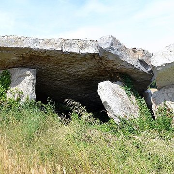 Dolmen dit Dolmen de la Forêt