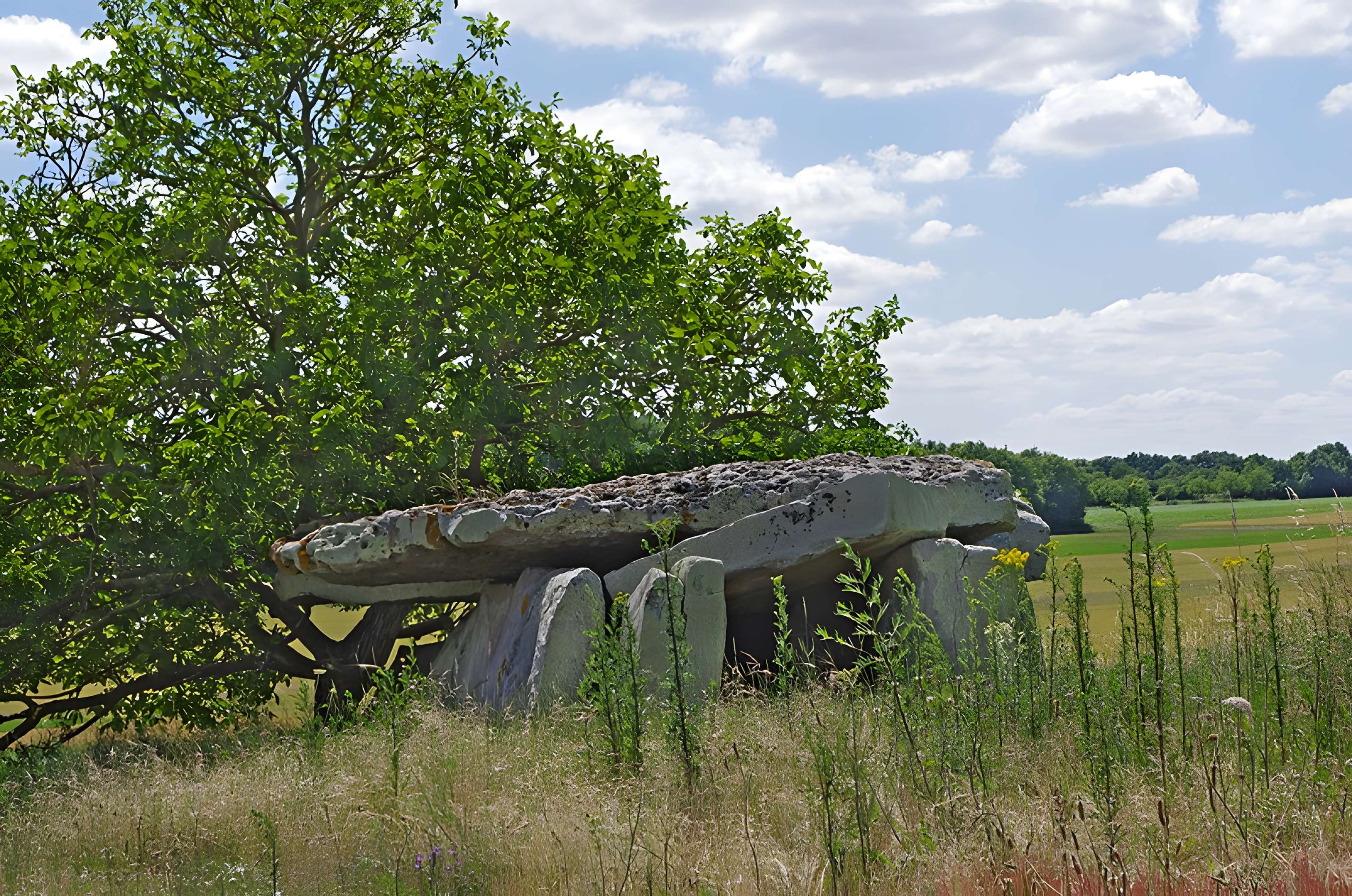 Dolmen dit Dolmen de la Forêt