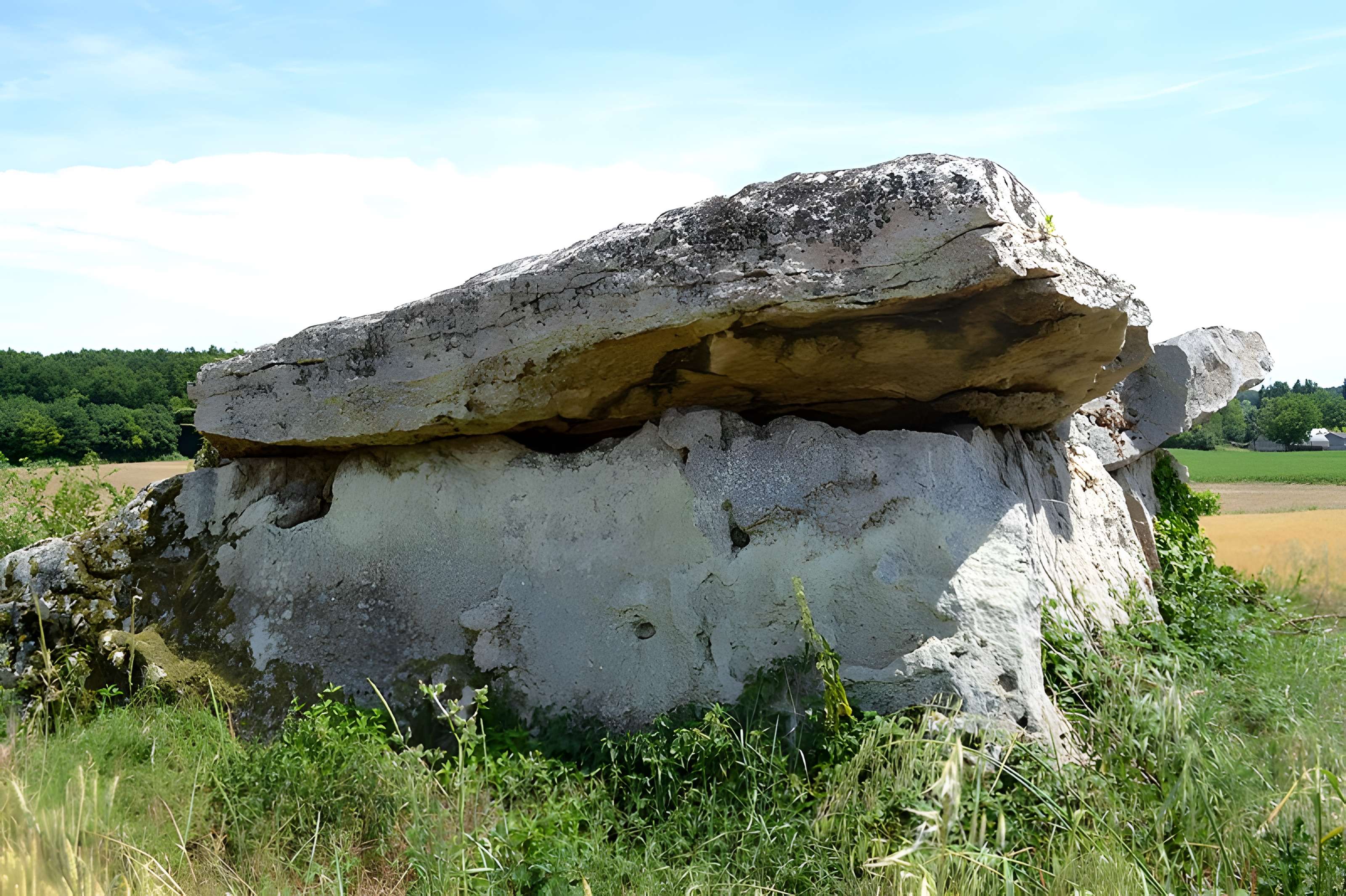 Dolmen dit Dolmen de la Forêt