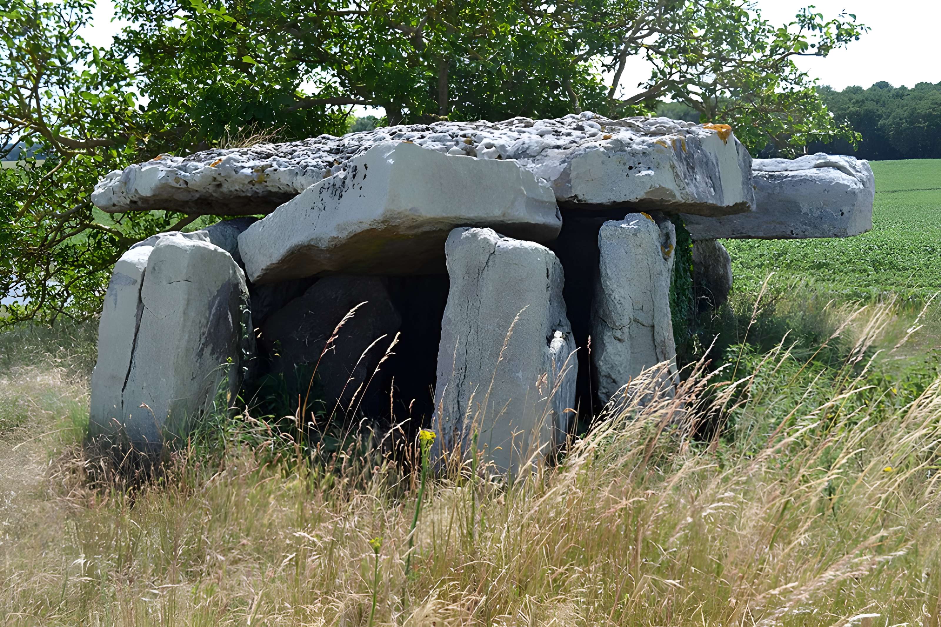 Dolmen dit Dolmen de la Forêt
