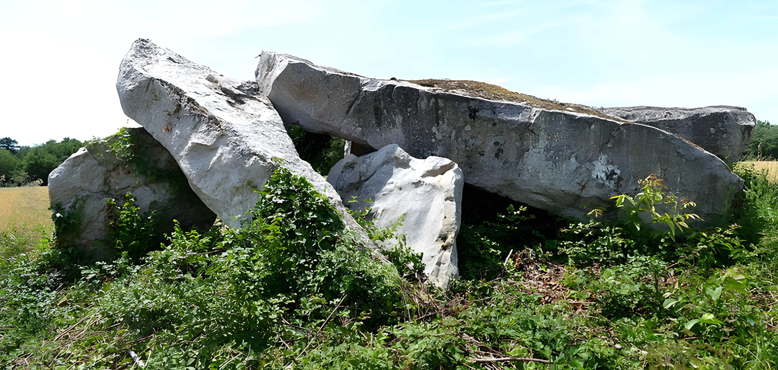 Dolmen dit Dolmen de la Forêt