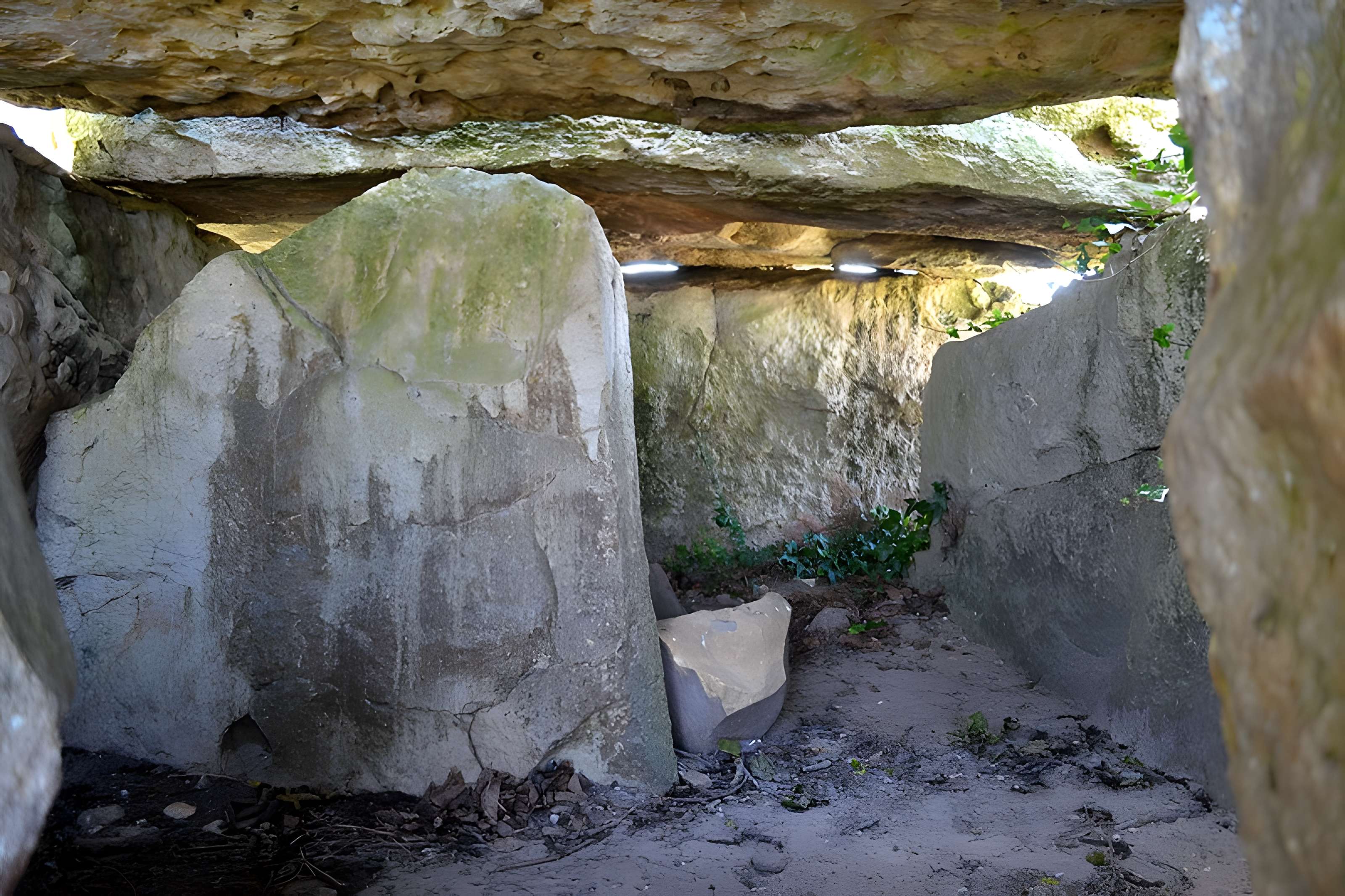 Dolmen dit Dolmen de la Forêt