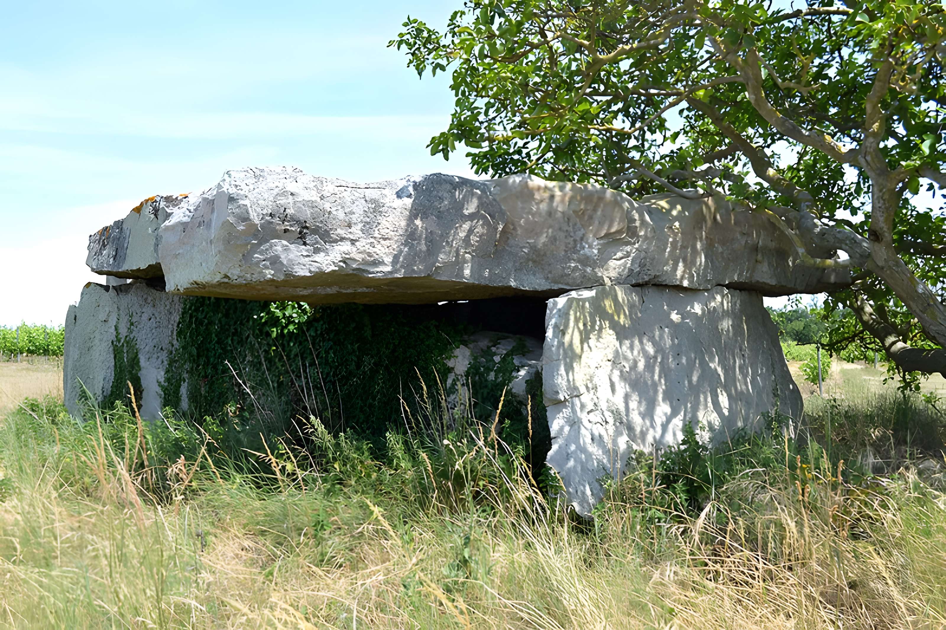 Dolmen dit Dolmen de la Forêt