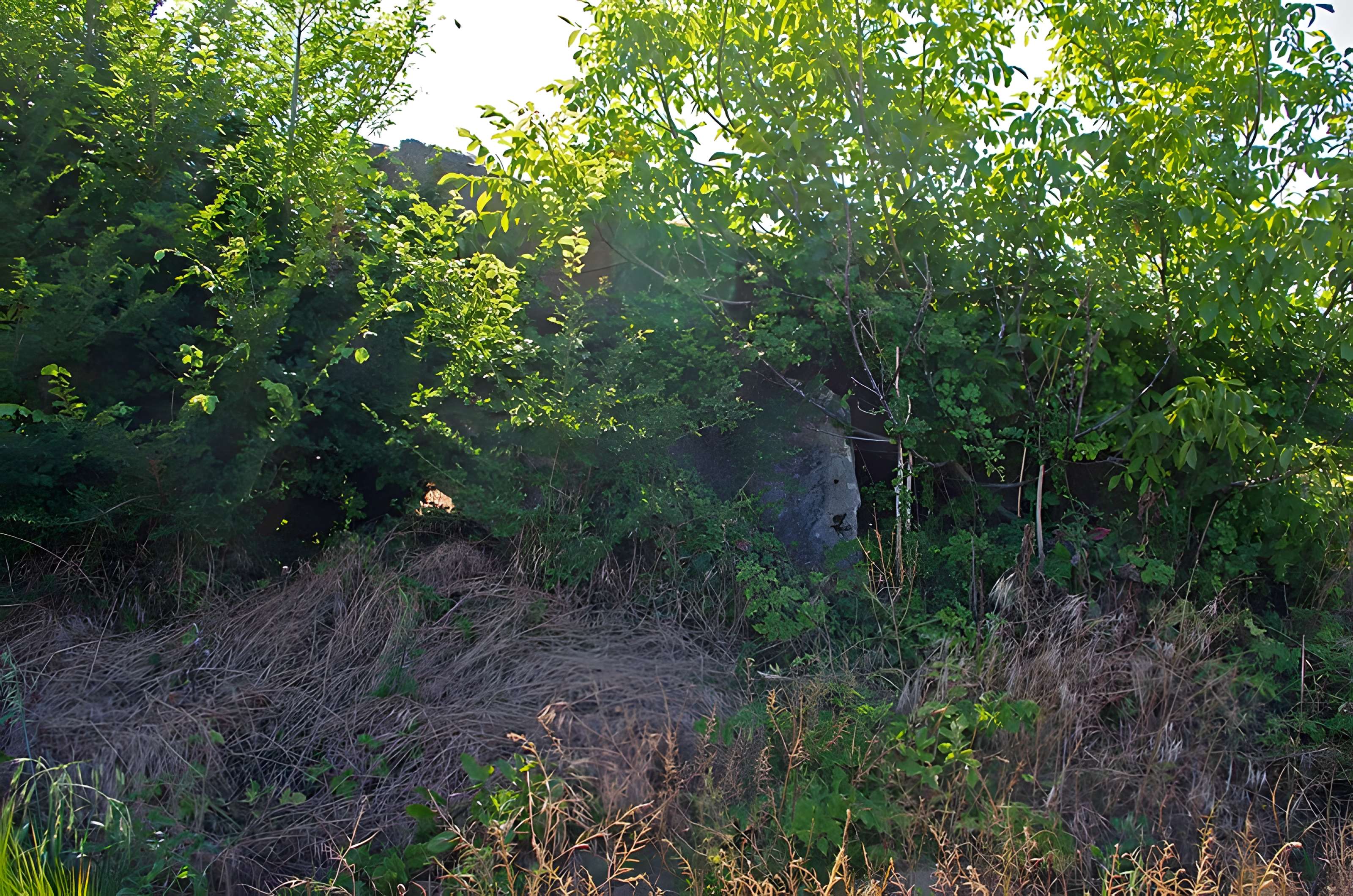 Dolmen dit Dolmen de la Forêt