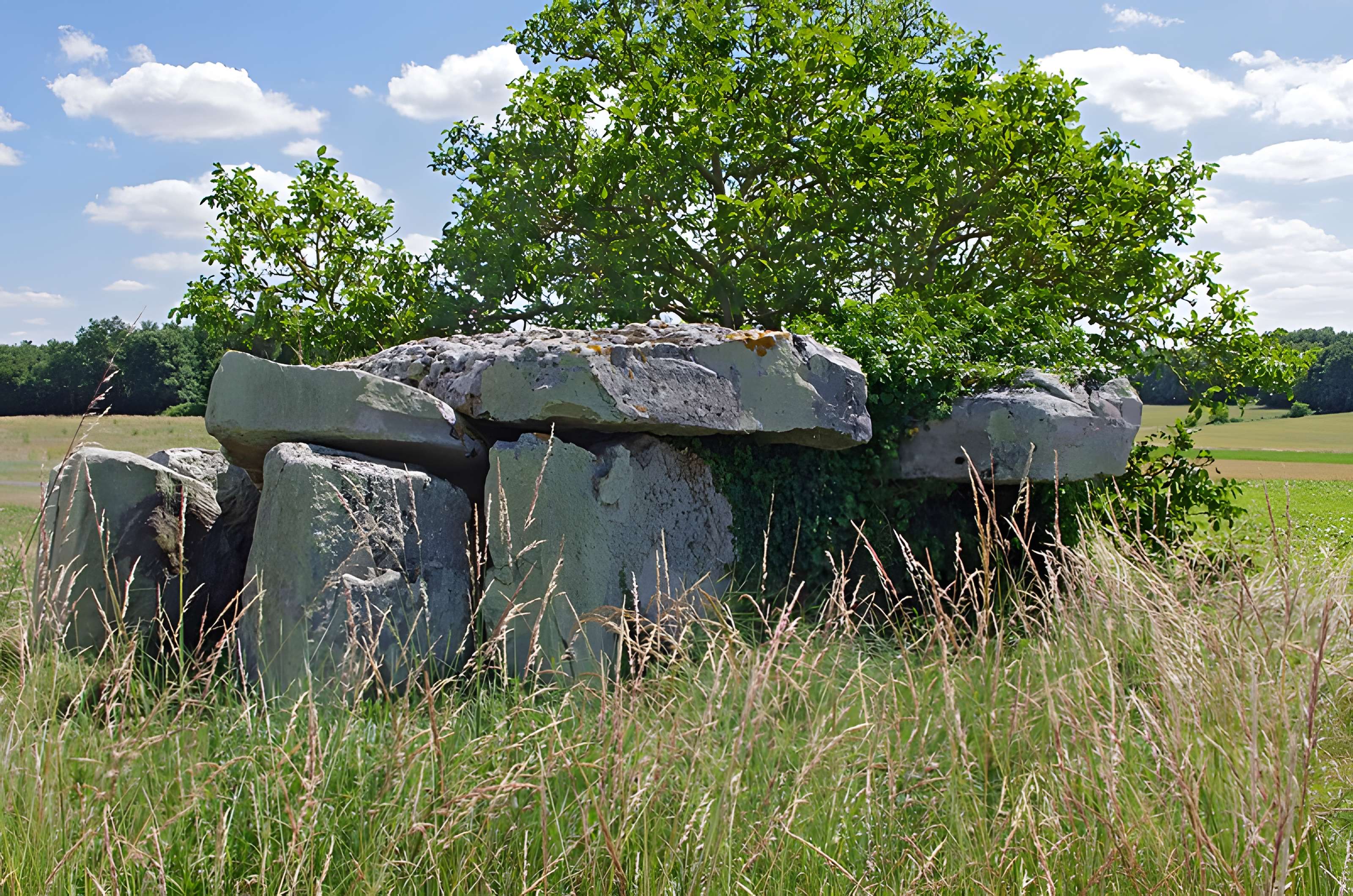 Dolmen dit Dolmen de la Forêt