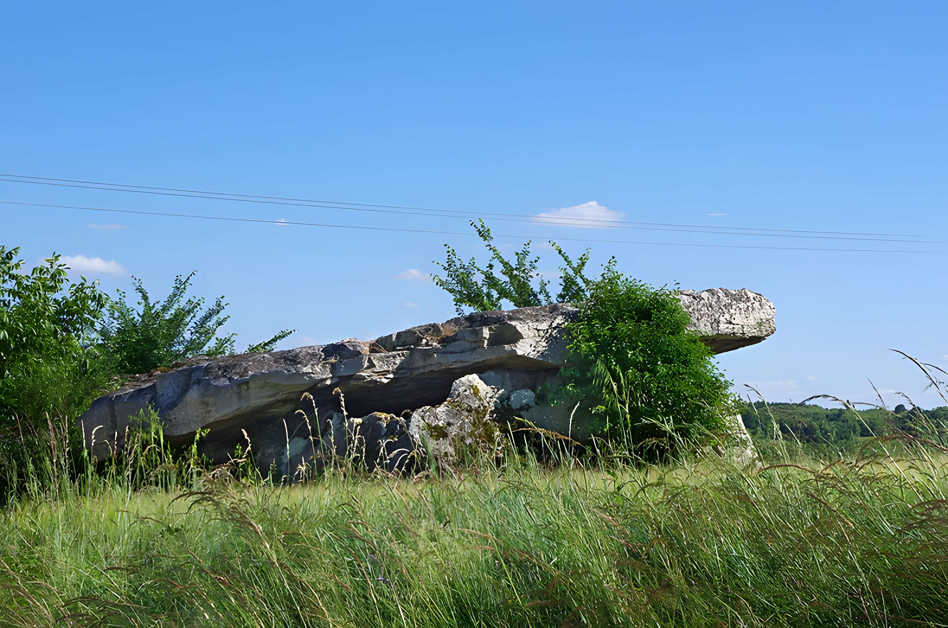 Dolmen dit Dolmen de la Forêt