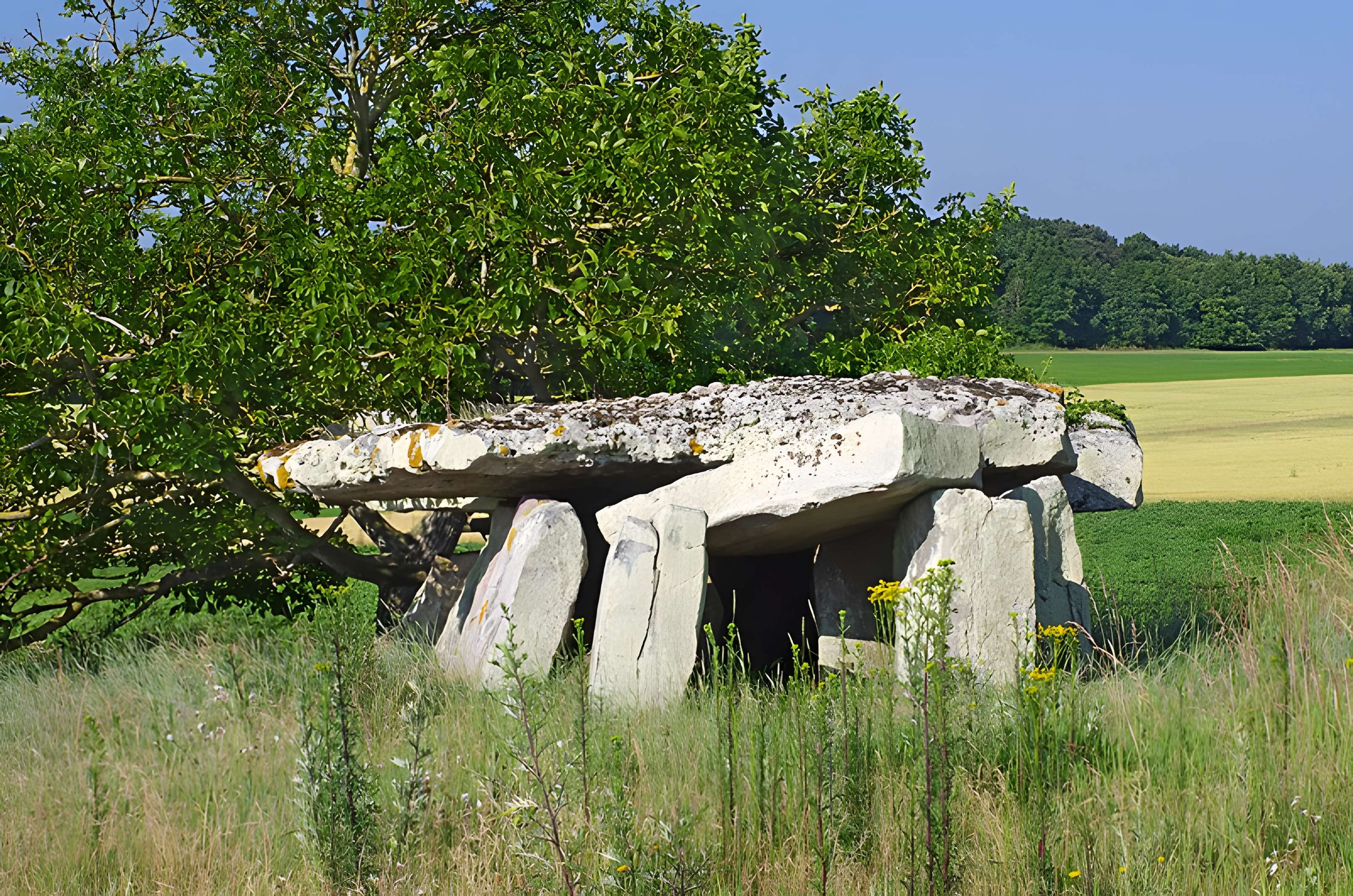 Dolmen dit Dolmen de la Forêt
