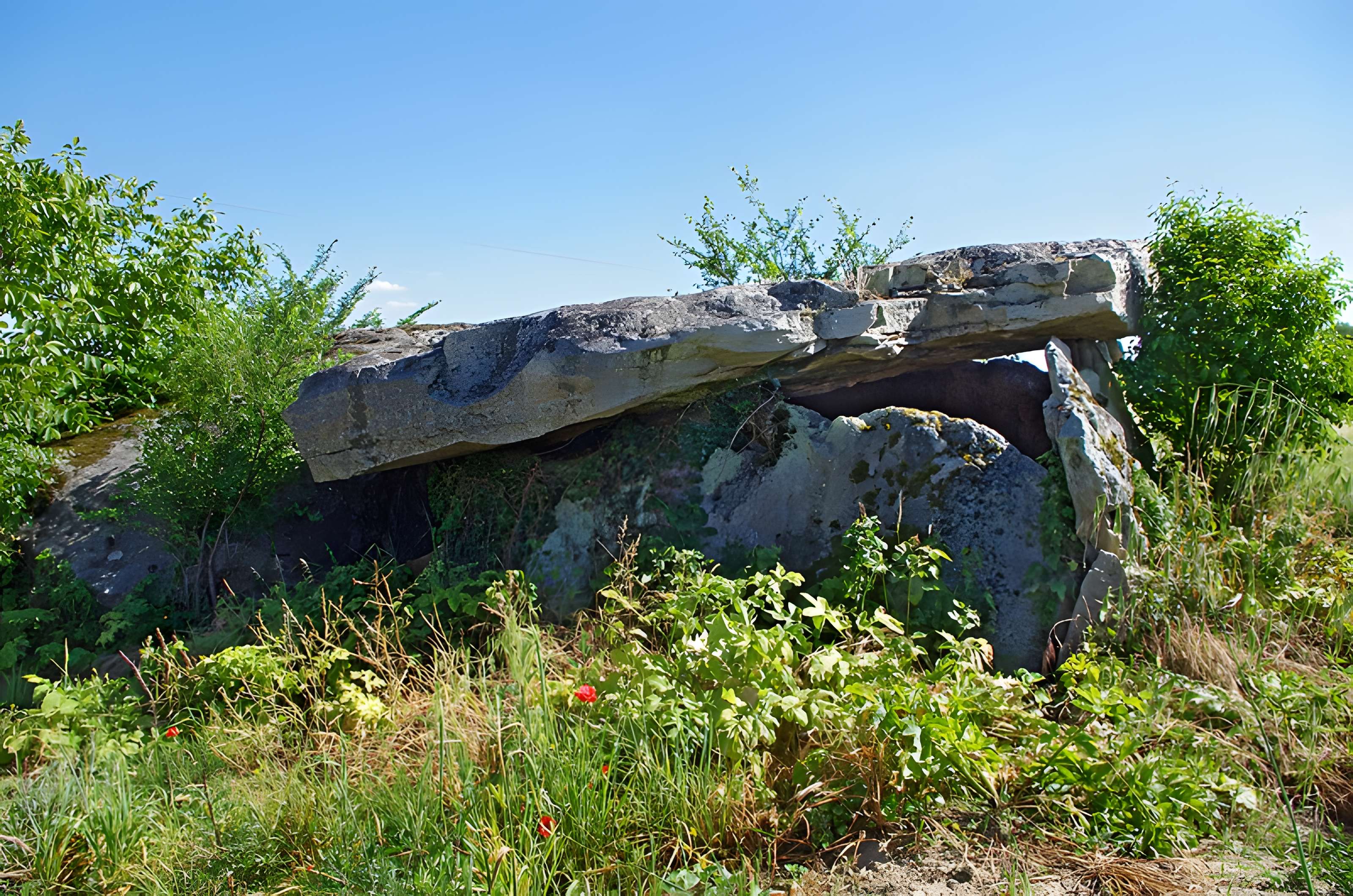 Dolmen dit Dolmen de la Forêt