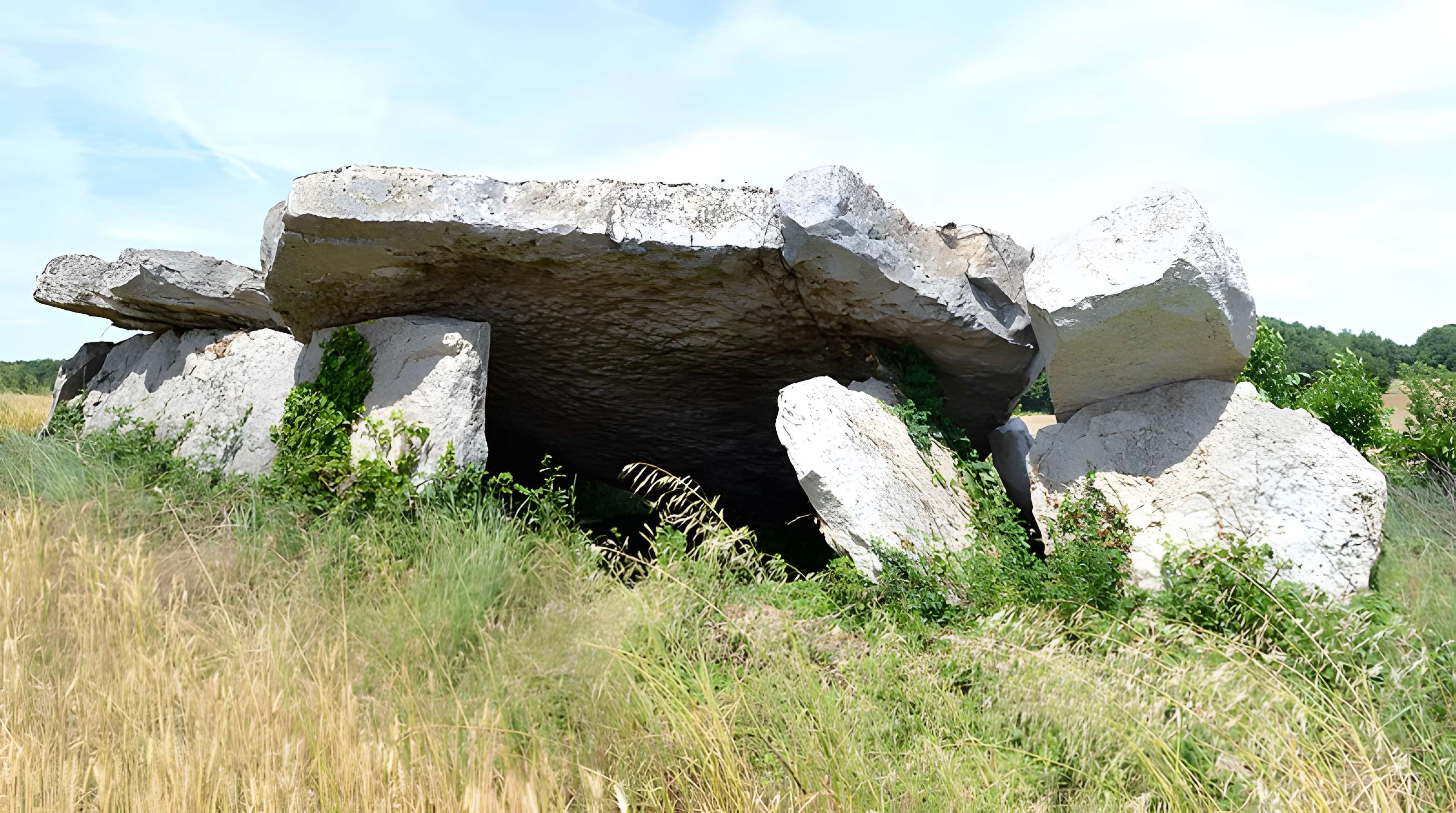 Dolmen dit Dolmen de la Forêt