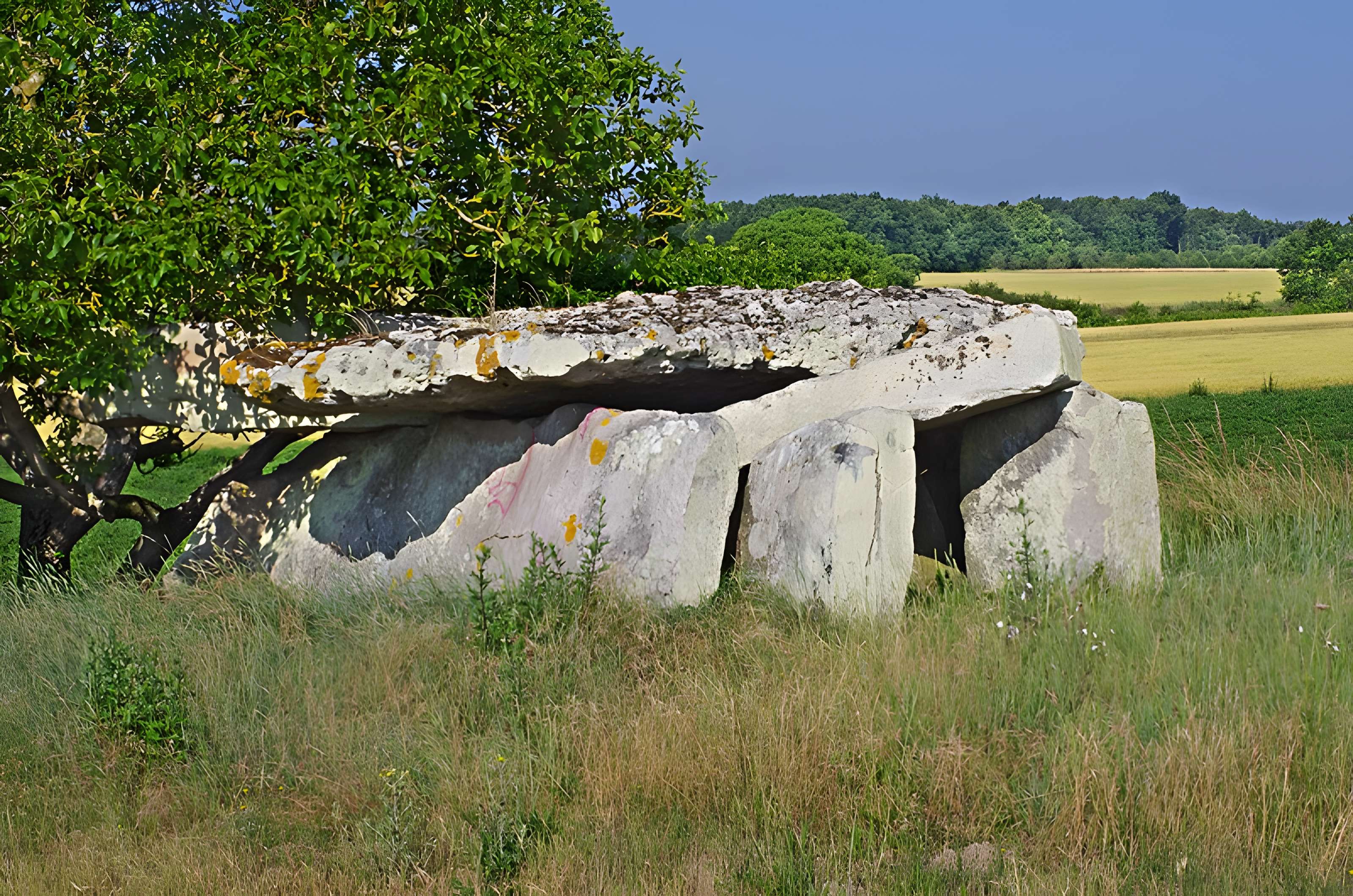 Dolmen dit Dolmen de la Forêt