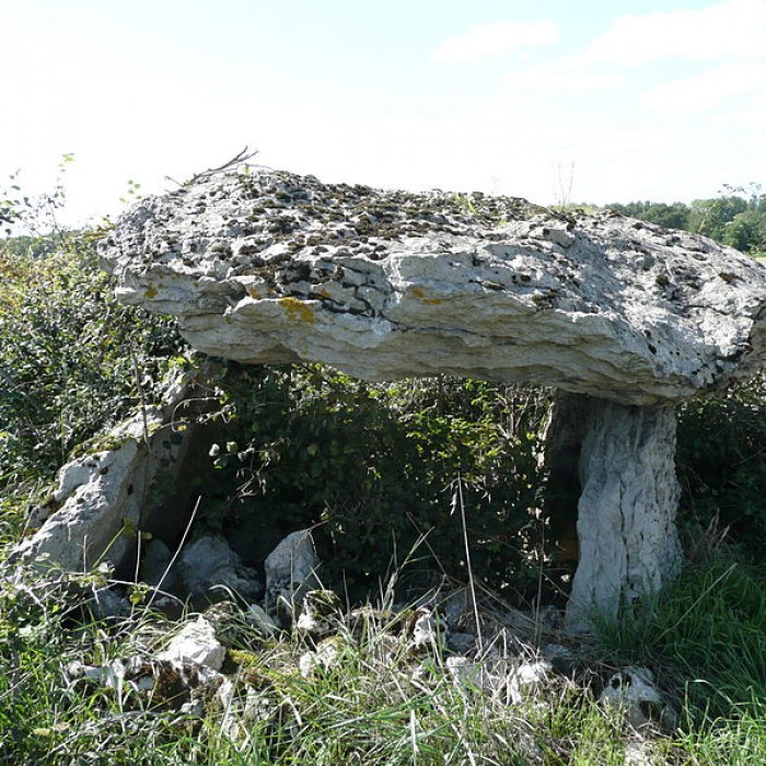 Photo de Dolmen dit Pierre couverte de la planche