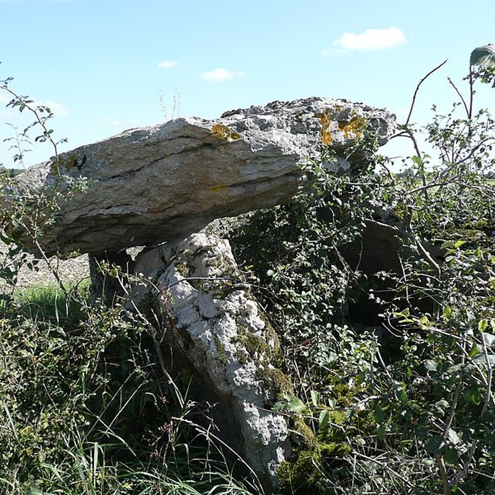 Photo de Dolmen dit Pierre couverte de la planche