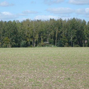 Dolmen dit Pierre couverte de la planche