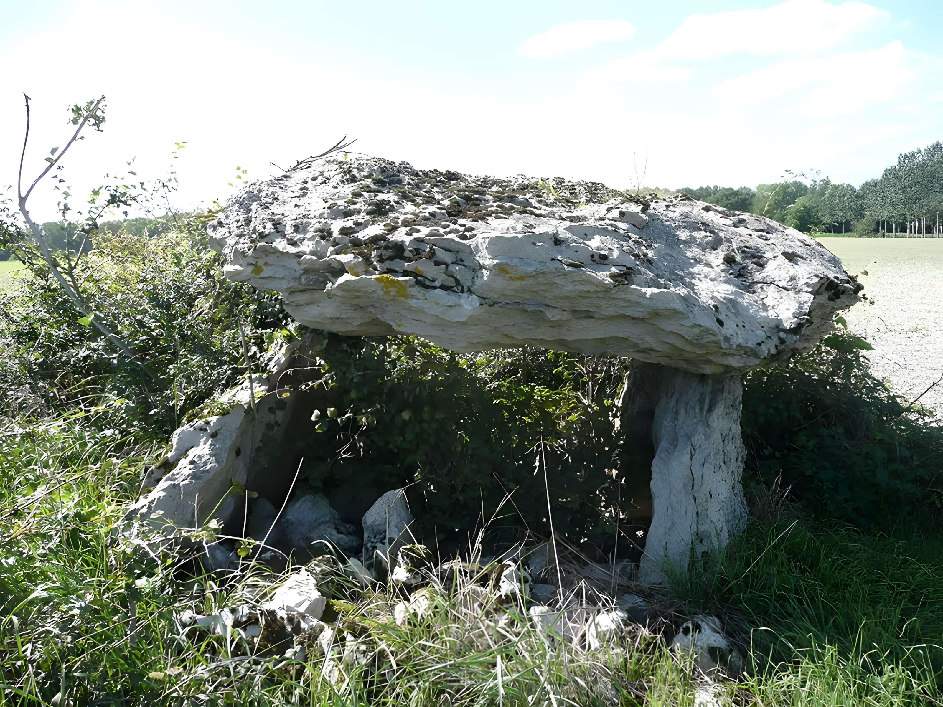 Pierre couverte de la planche à Broc 