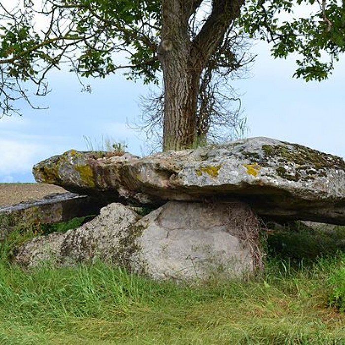 Photo de Dolmen dit La Pierre couverte de Mousseau