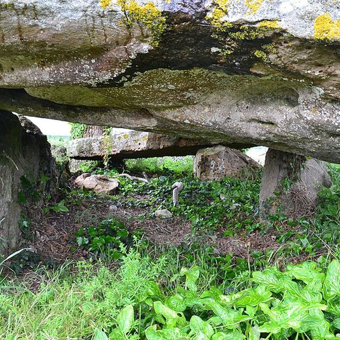 Photo de Dolmen dit La Pierre couverte de Mousseau