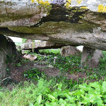 Dolmen dit La Pierre couverte de Mousseau