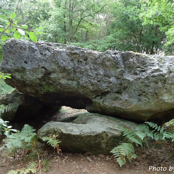 Photo de Pierre couverte de Parigné-le-Pôlin