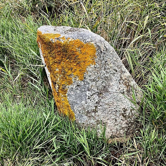 Photo de Pierre de Gargantua de Saint-Brevin-les-Pins