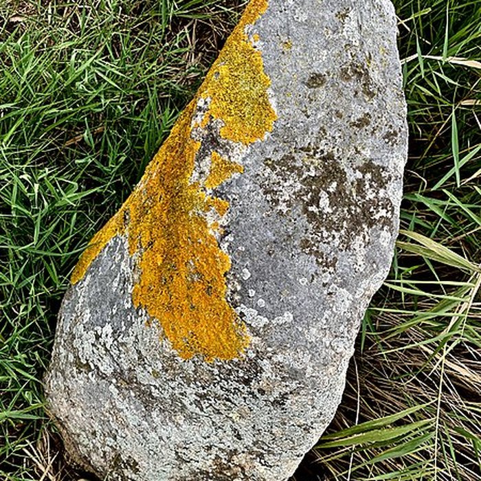 Photo de Pierre de Gargantua de Saint-Brevin-les-Pins