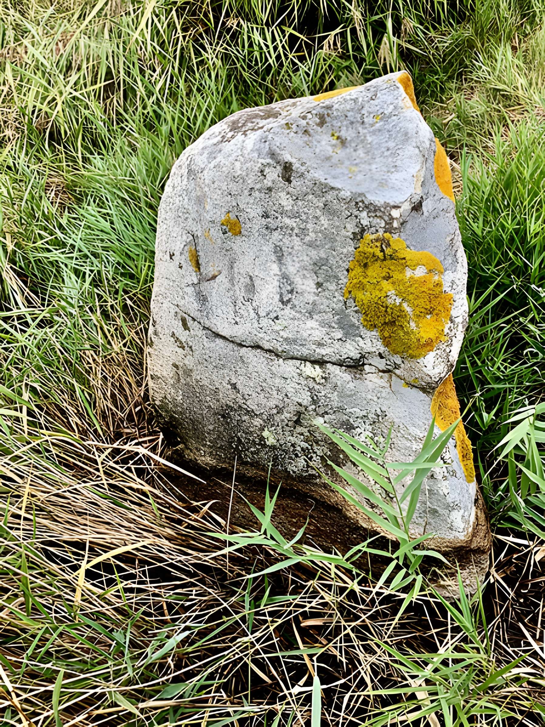 Pierre de Gargantua de Saint-Brevin-les-Pins