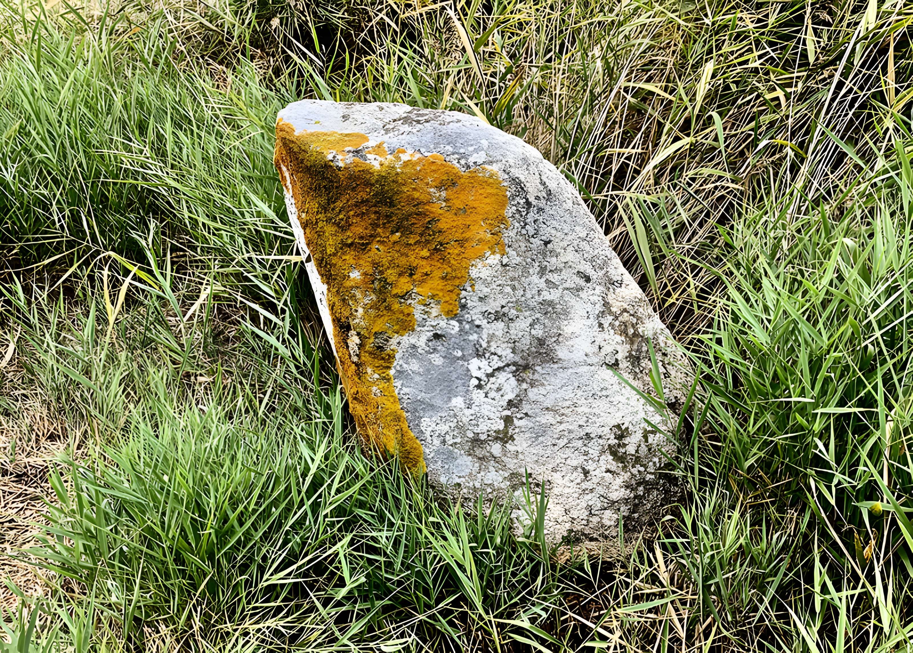 Pierre de Gargantua de Saint-Brevin-les-Pins