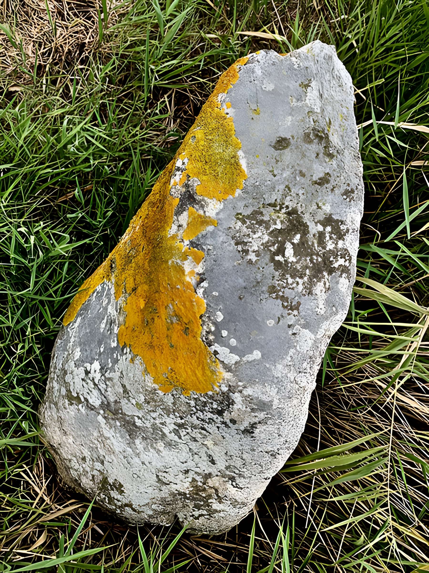 Pierre de Gargantua de Saint-Brevin-les-Pins