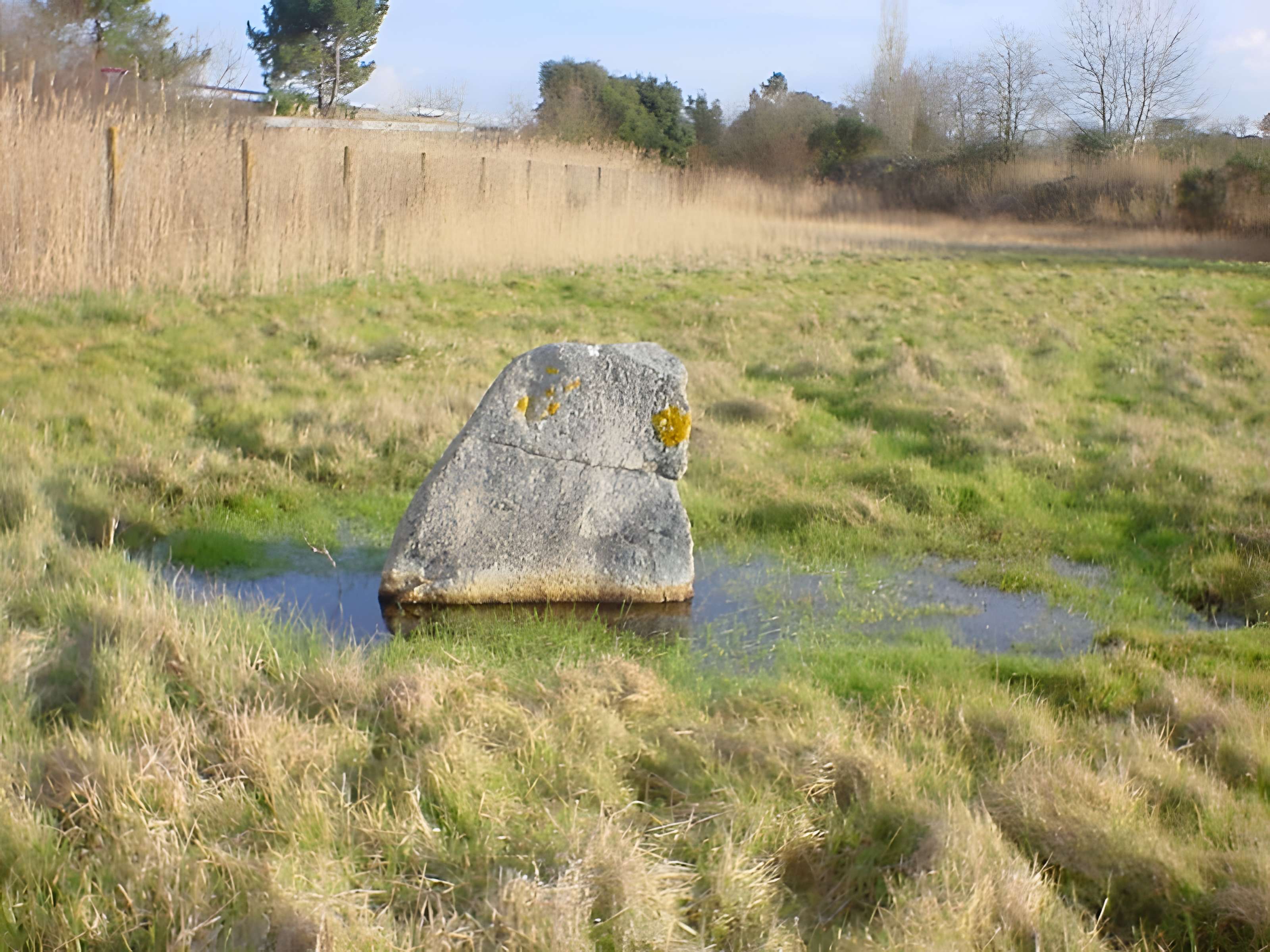 Pierre de Gargantua de Saint-Brevin-les-Pins 
