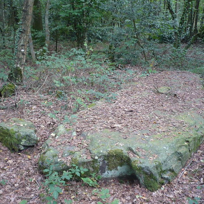 Photo de Monument mégalithique dénommée La Pierre de la Chopinière