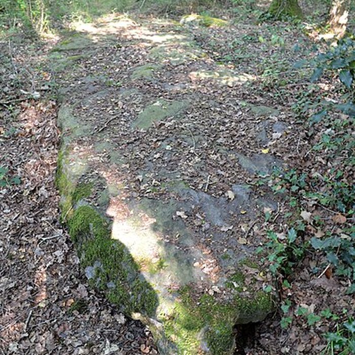 Photo de Monument mégalithique dénommée La Pierre de la Chopinière