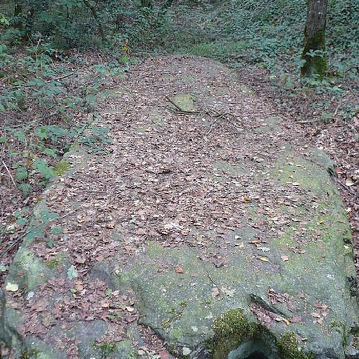 Photo de Monument mégalithique dénommée La Pierre de la Chopinière