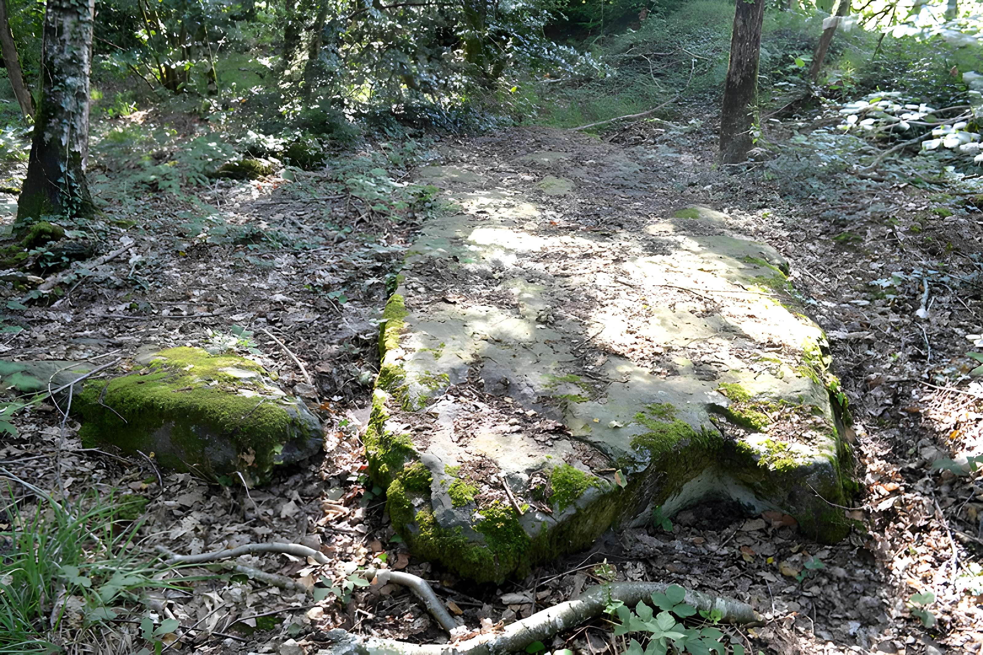 Monument mégalithique dénommée La Pierre de la Chopinière